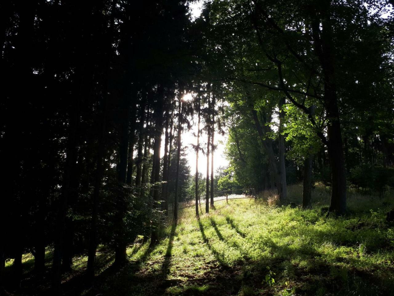 Hotel Olivin Kytlice Hiker Huts Esterno foto